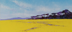 Canola Time In Overberg II | 2021 | Oil on Canvas | 18 x 30 cm